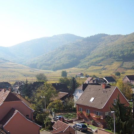 Hotel Restaurant Cristal Wintzenheim Zewnętrze zdjęcie