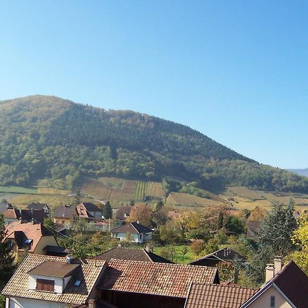 Hotel Restaurant Cristal Wintzenheim Zewnętrze zdjęcie