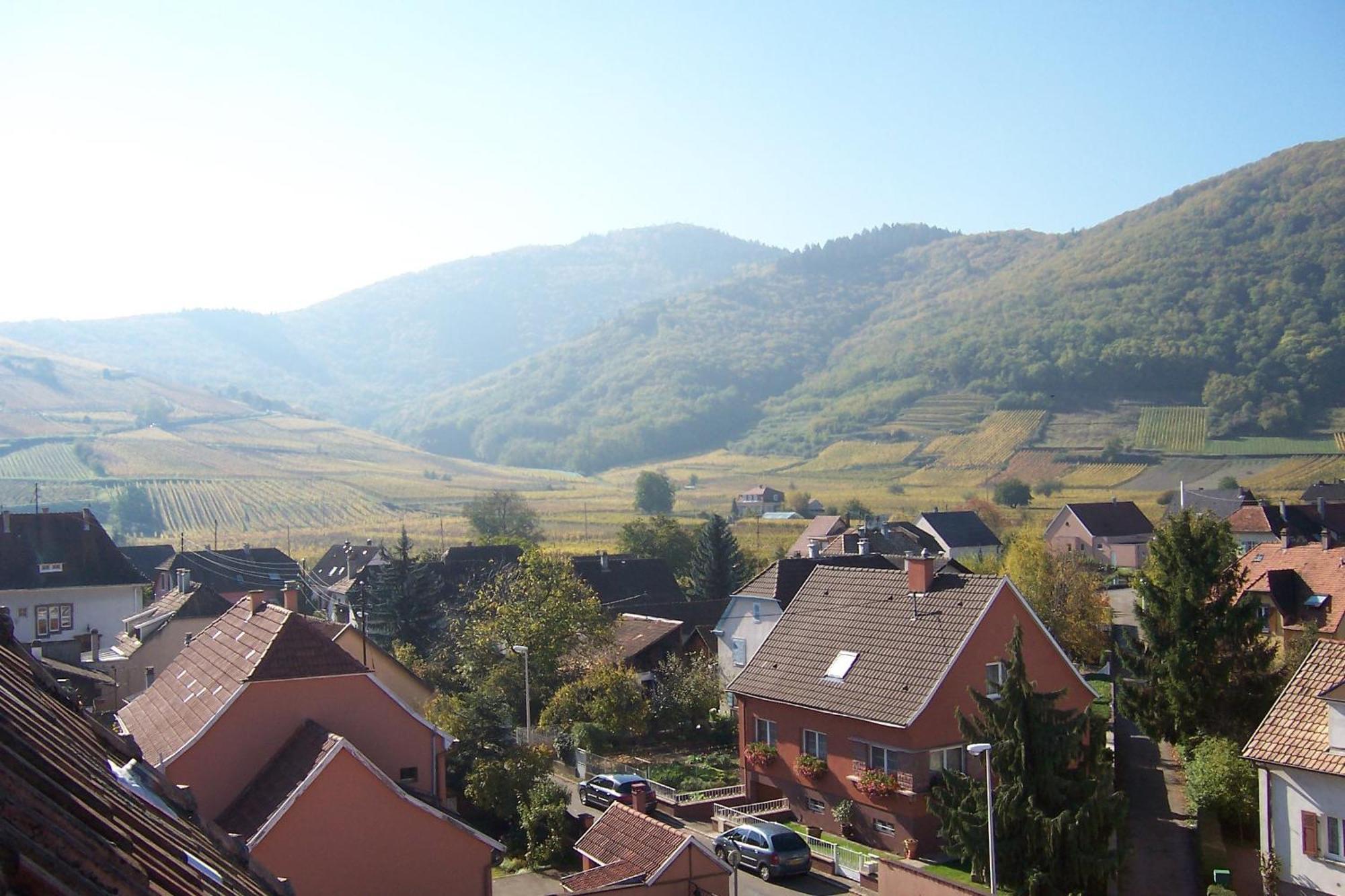 Hotel Restaurant Cristal Wintzenheim Zewnętrze zdjęcie